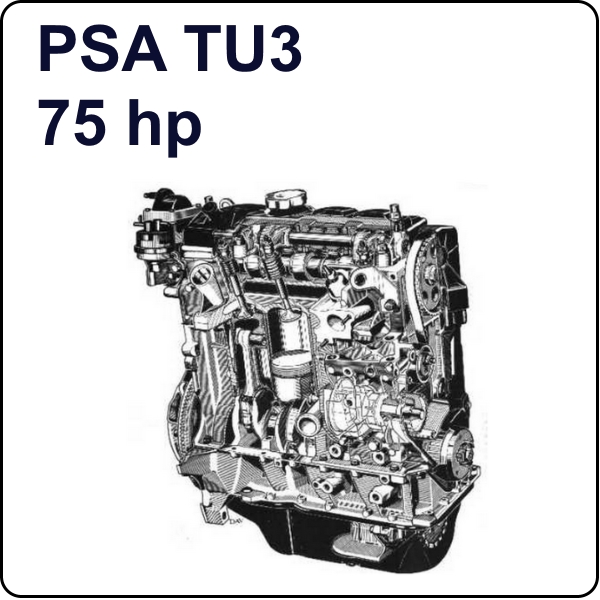 SERGE PENNEC GAZAILE II PSA TU3 gear ratio 1.88